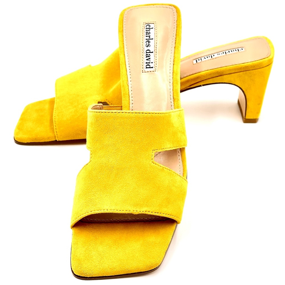 Charles David Harley Suede Slide Sandals Womens 8.5 BNIB